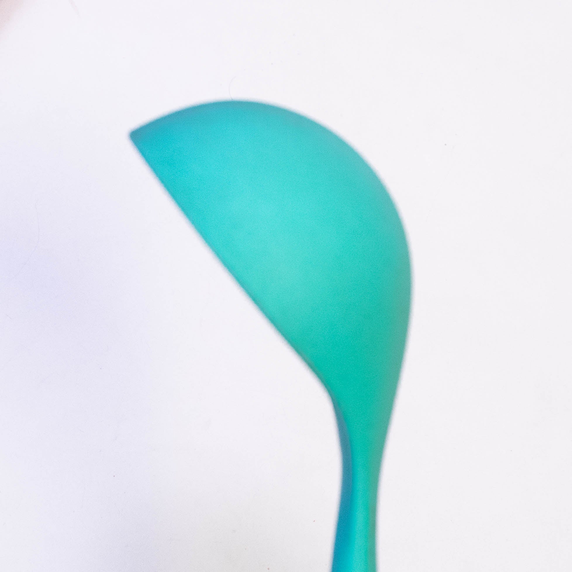 Wood Handle Cooking Spoon with Silicone Top