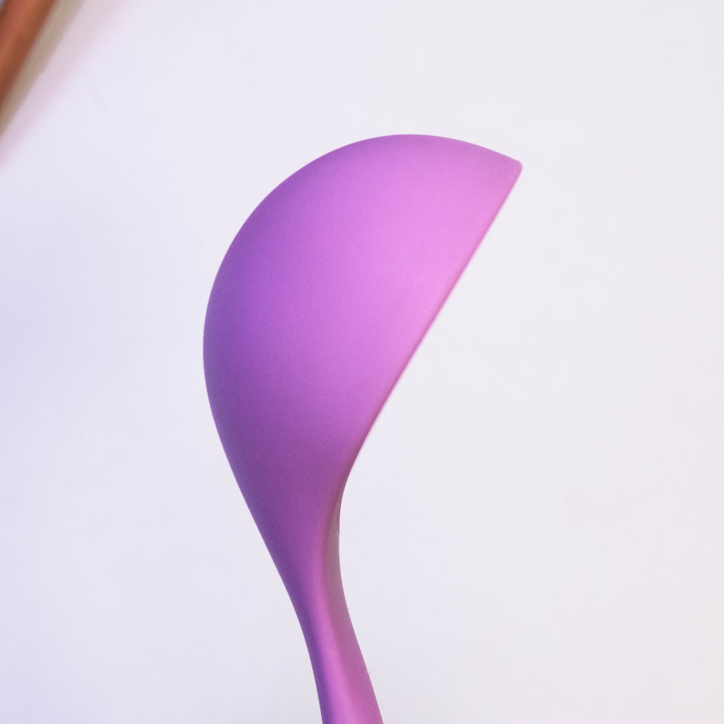 Wood Handle Cooking Spoon with Silicone Top