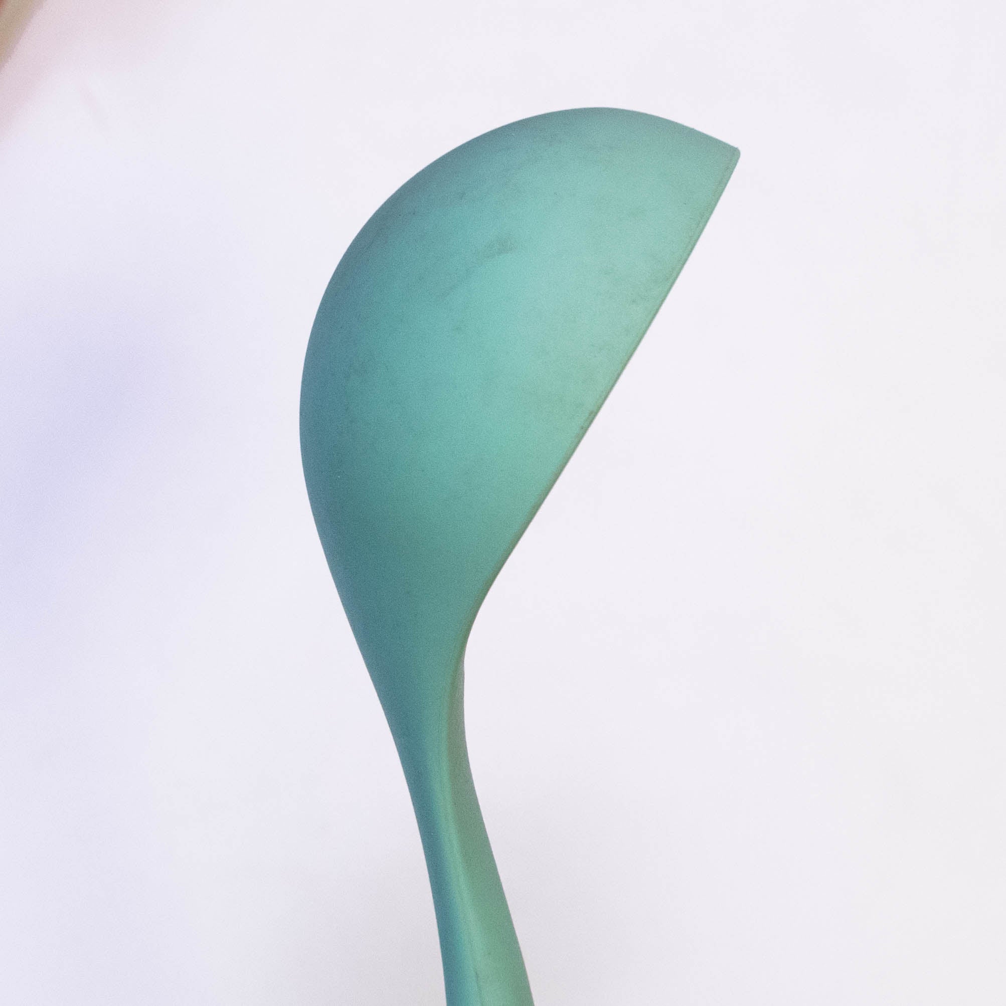 Wood Handle Cooking Spoon with Silicone Top