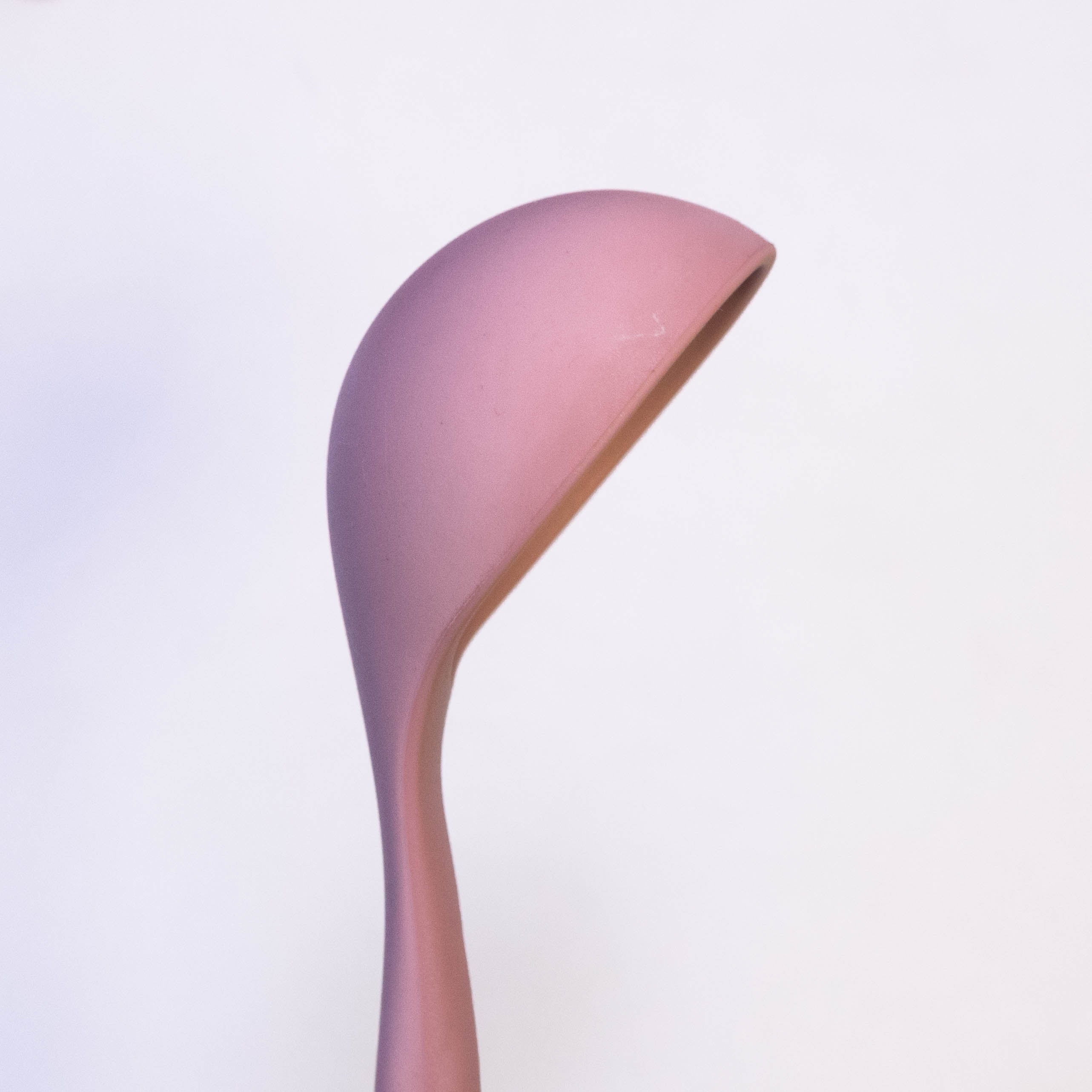 Wood Handle Cooking Spoon with Silicone Top