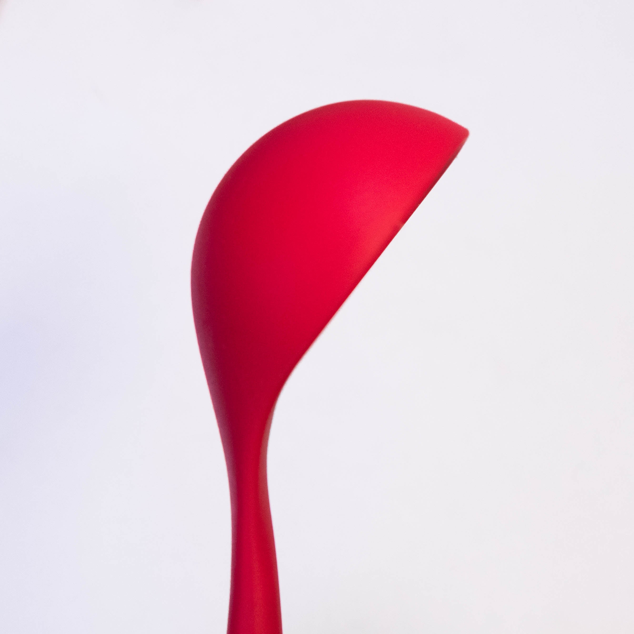 Wood Handle Cooking Spoon with Silicone Top
