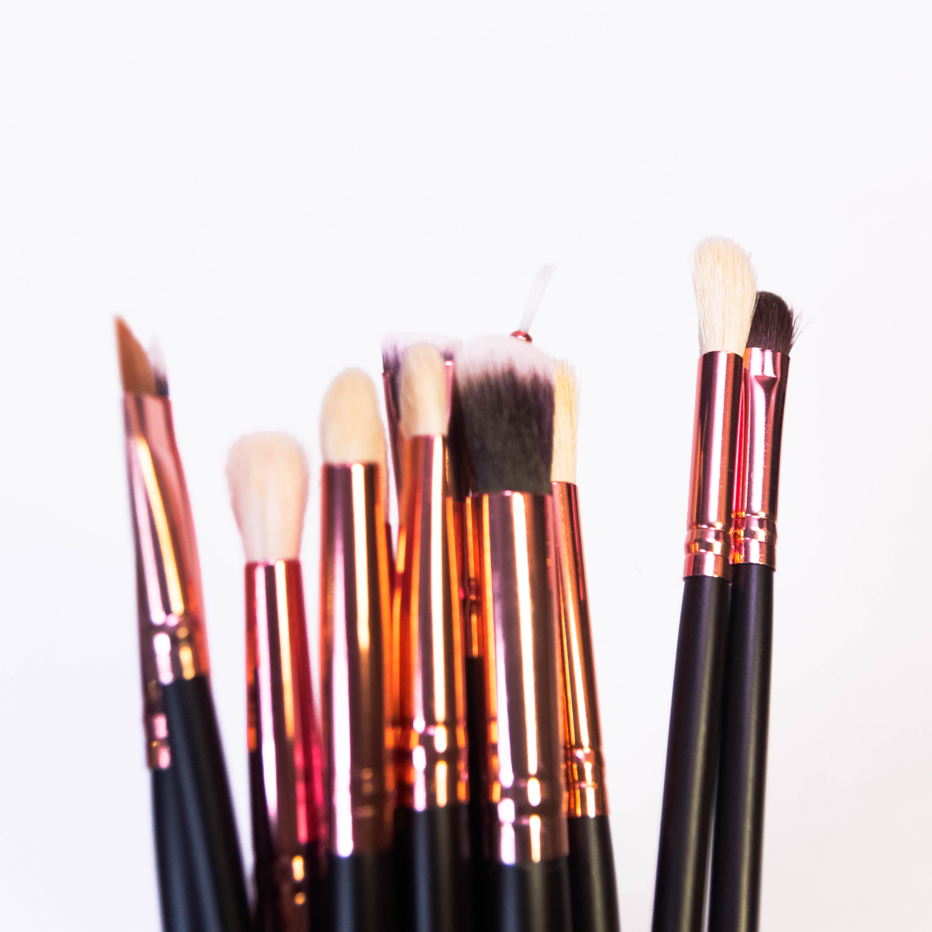 Zoeva 12pcs Eye Makeup Brushes Set Brown