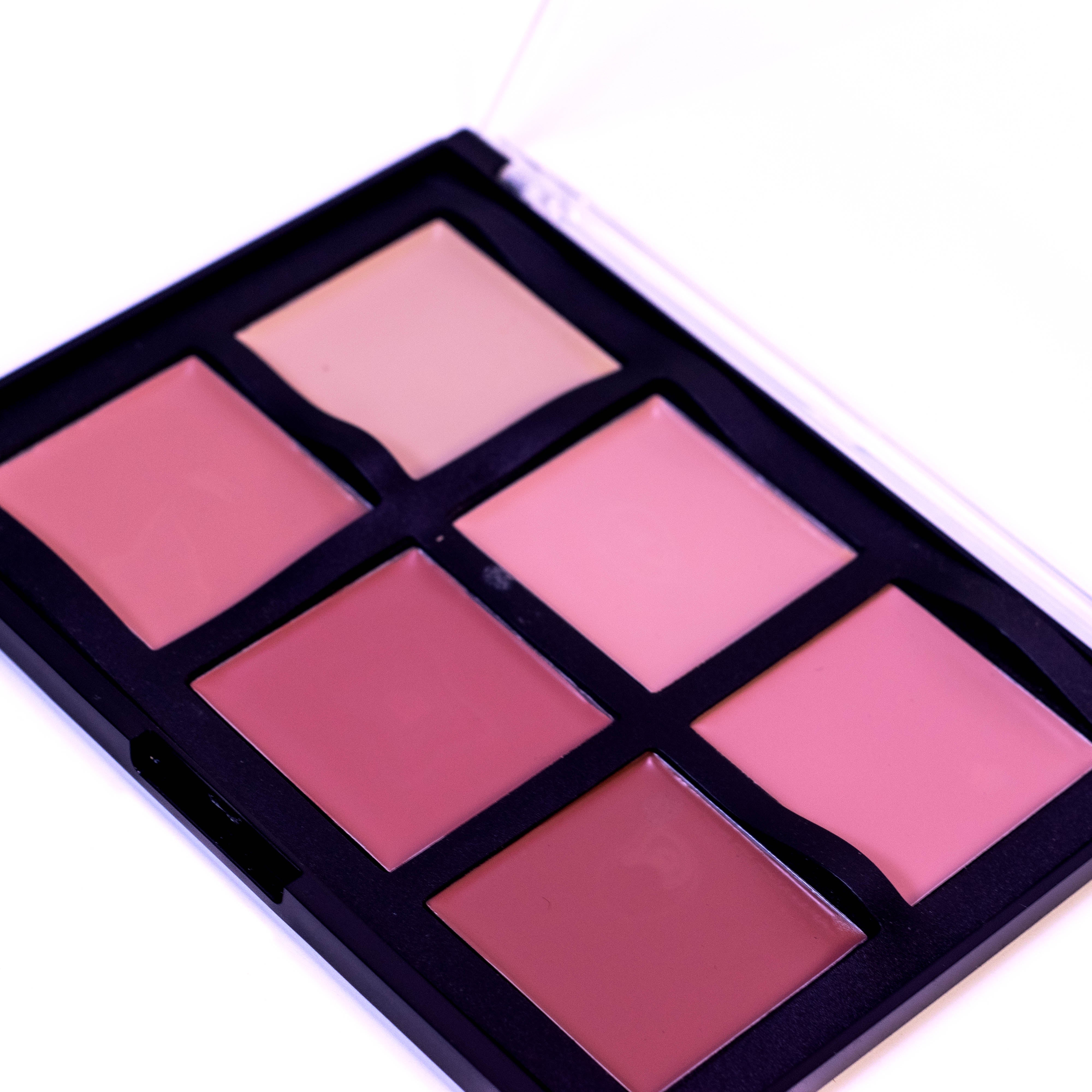 Luminous Glow: 6-in-1 Bronzers, Highlighters, and Concealer Kit by MYG