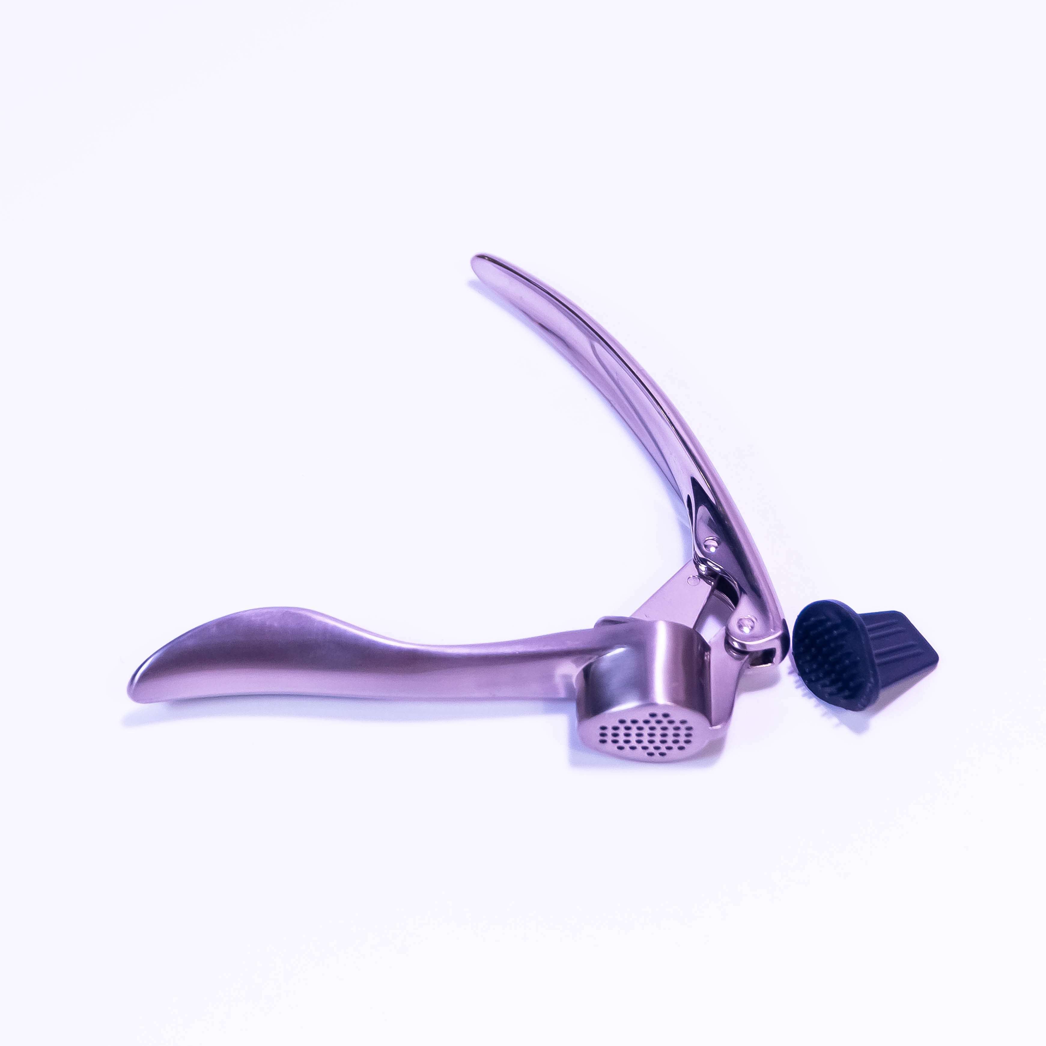 Stainless Steel Garlic Press