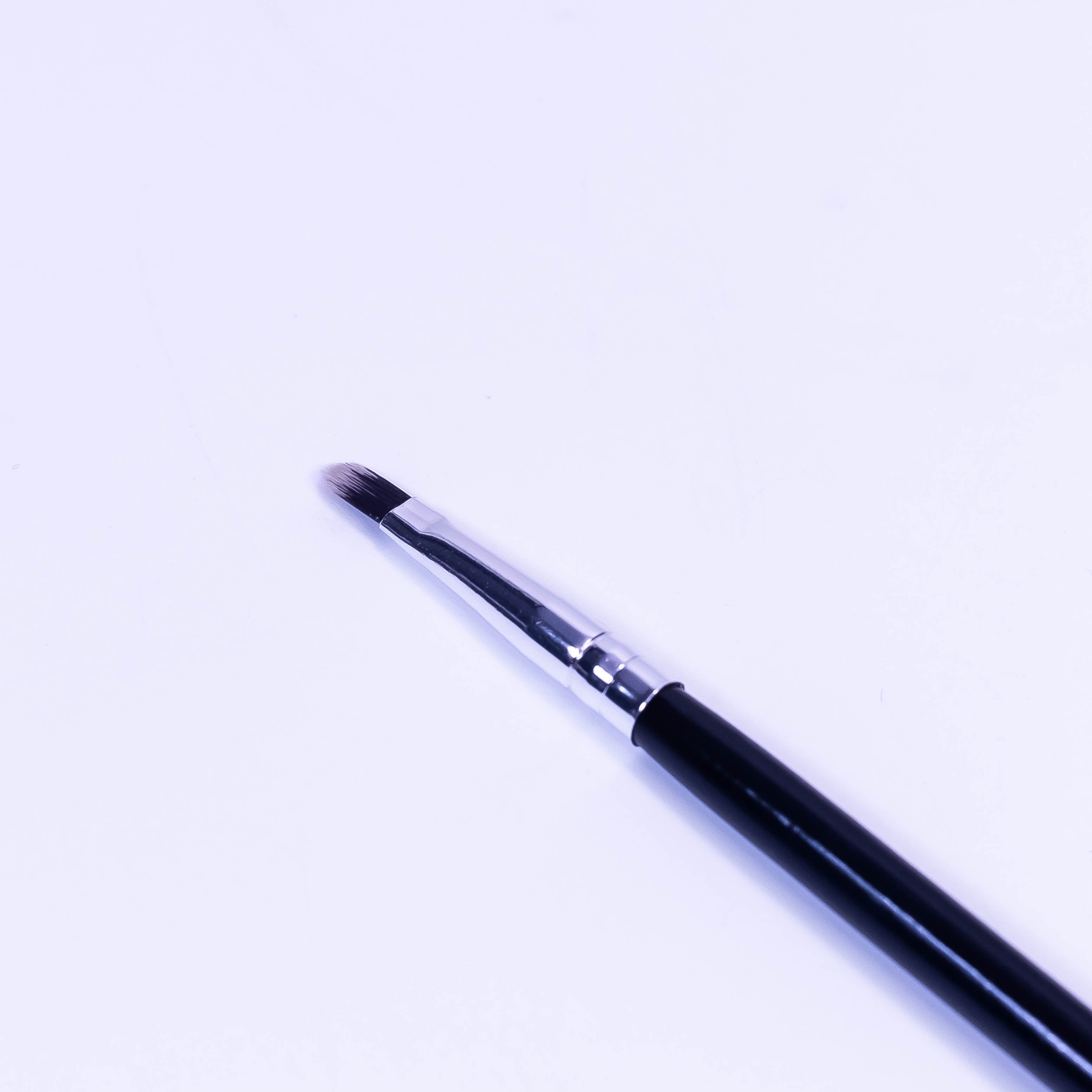 Elegante Lips: Precision Lip Brush for Perfect Pout